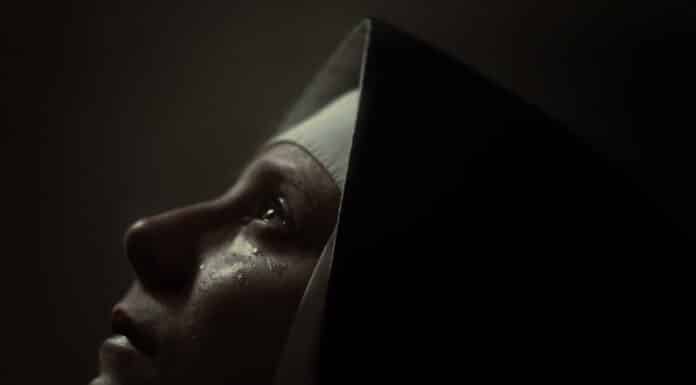 CORTI d’ARGENTO 2024 | I VINCITORI